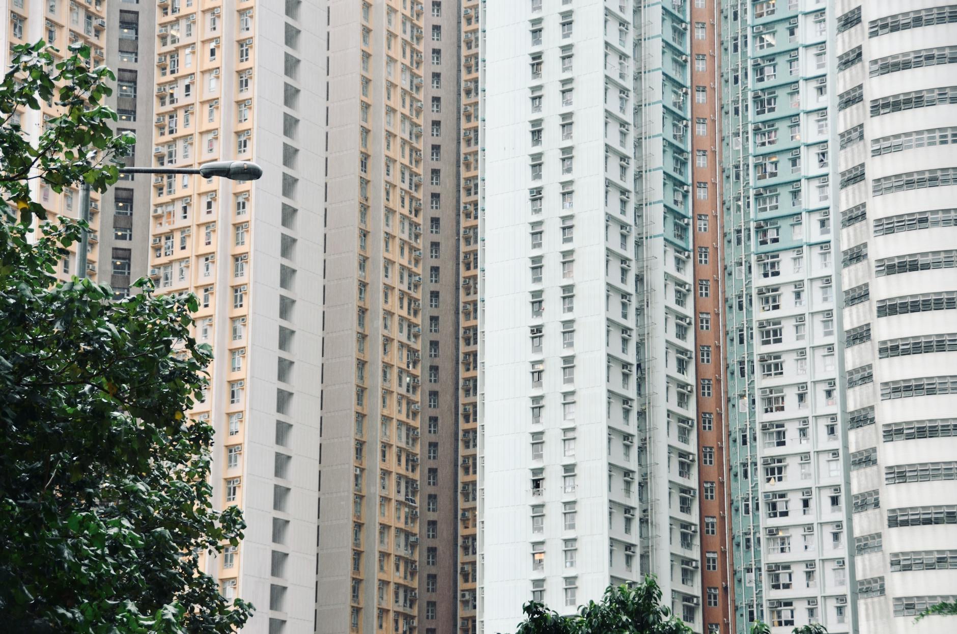 migration-hk 配图