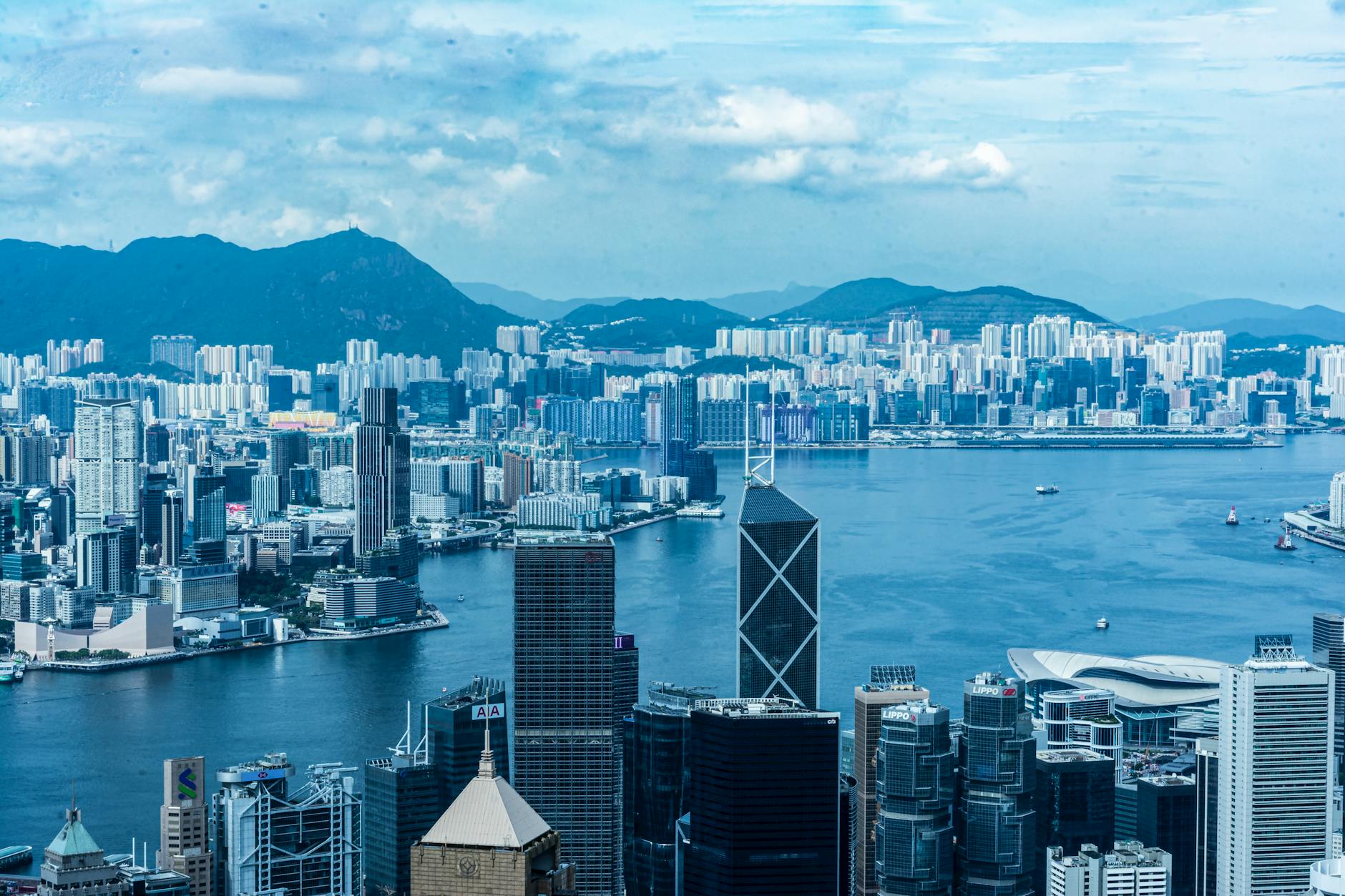 NCE vs CIES 旧版本：政策对比 + 适用人群
