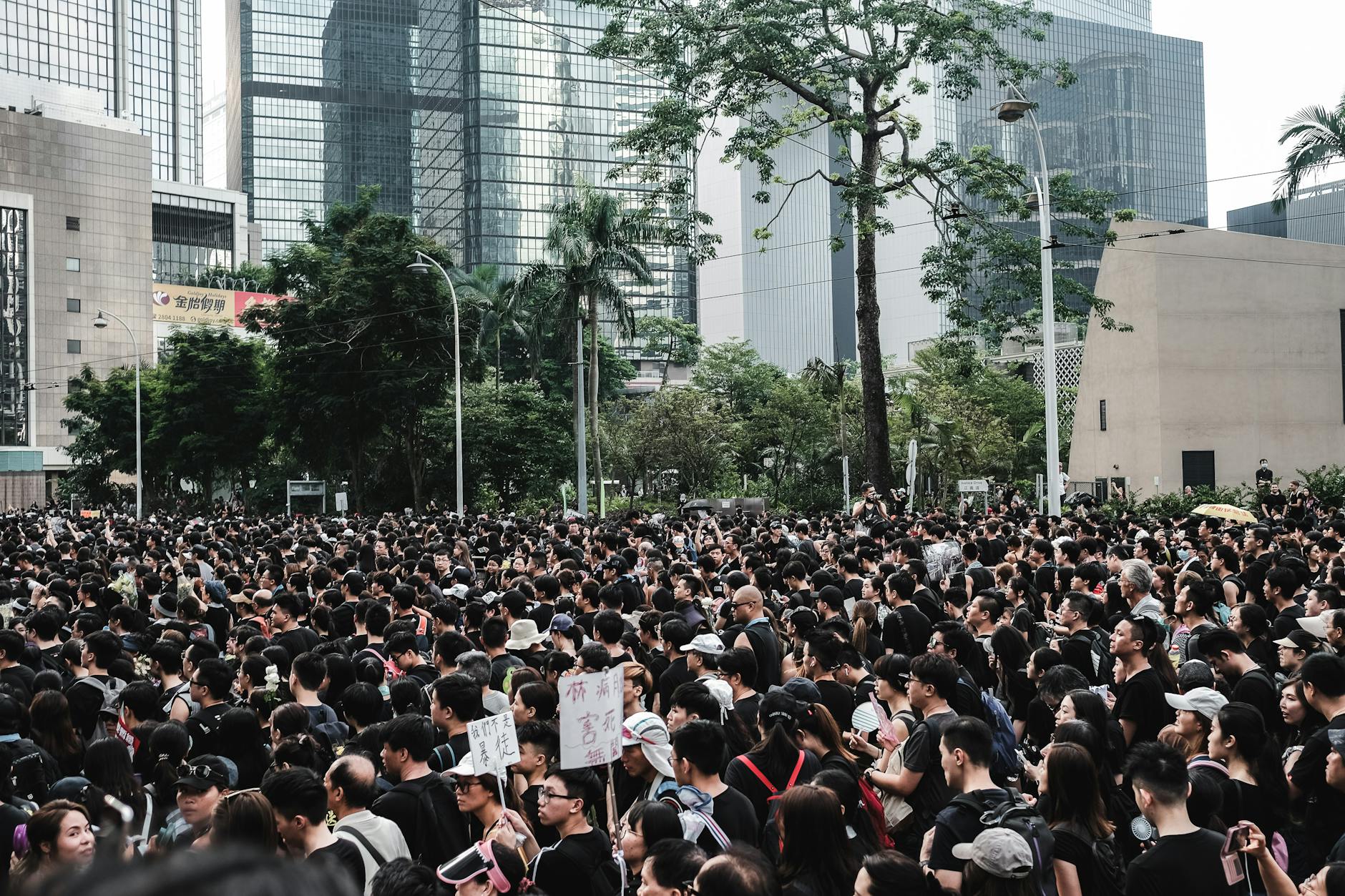 七年永居获批后失效情形:连续 36 个月离港